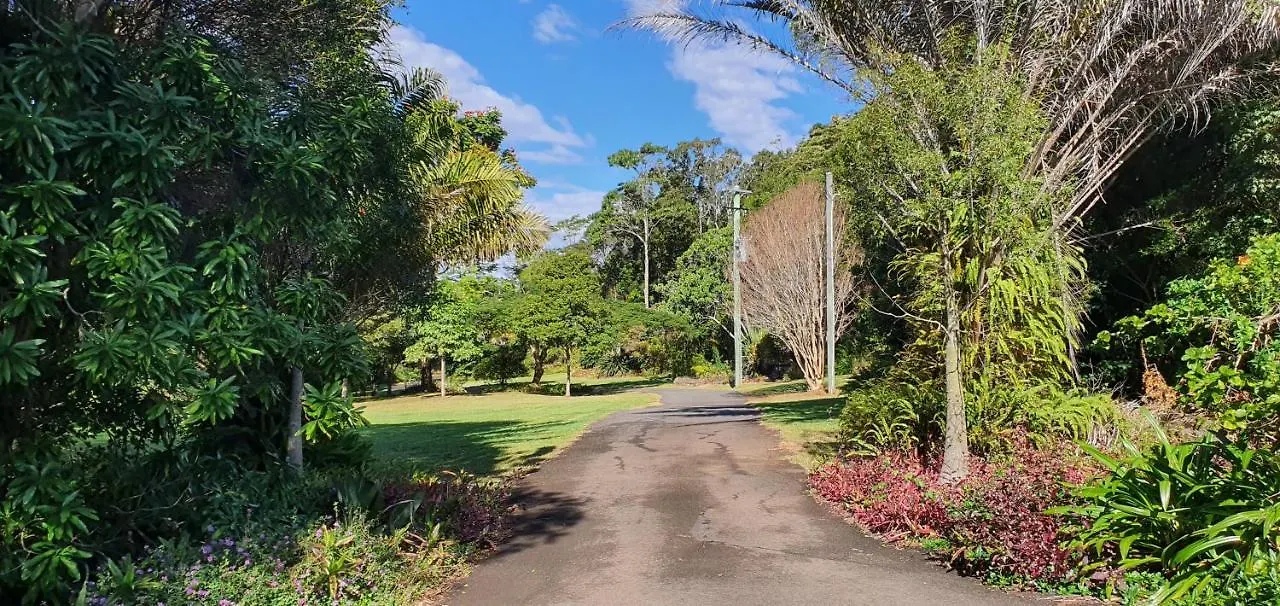 Cooroy Country Cottages Black Mountain