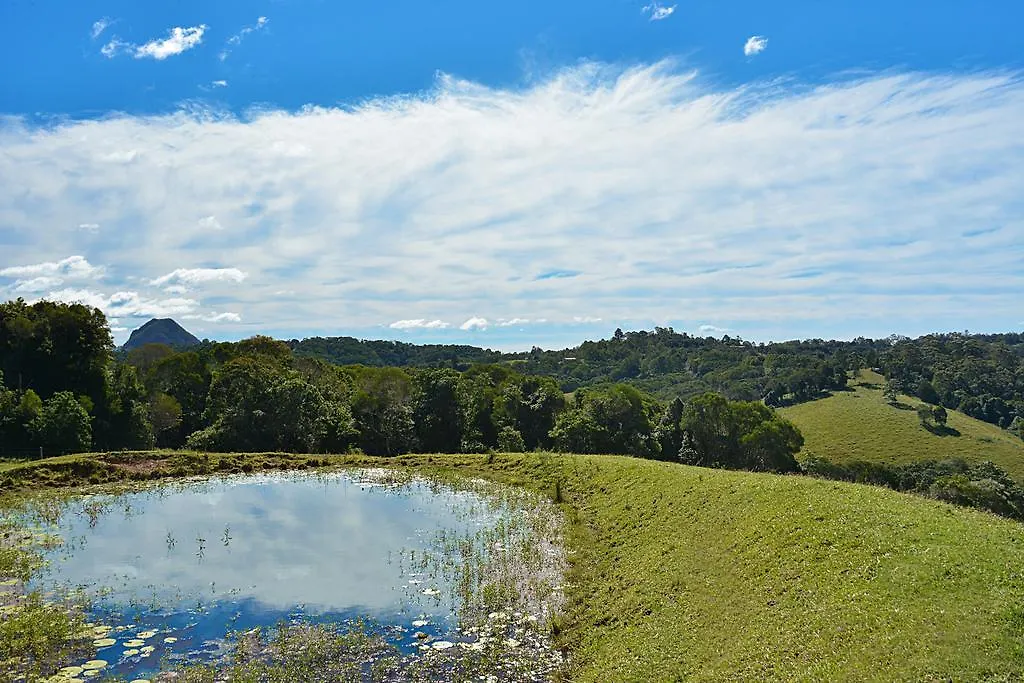 Cooroy Country Cottages Black Mountain Australia