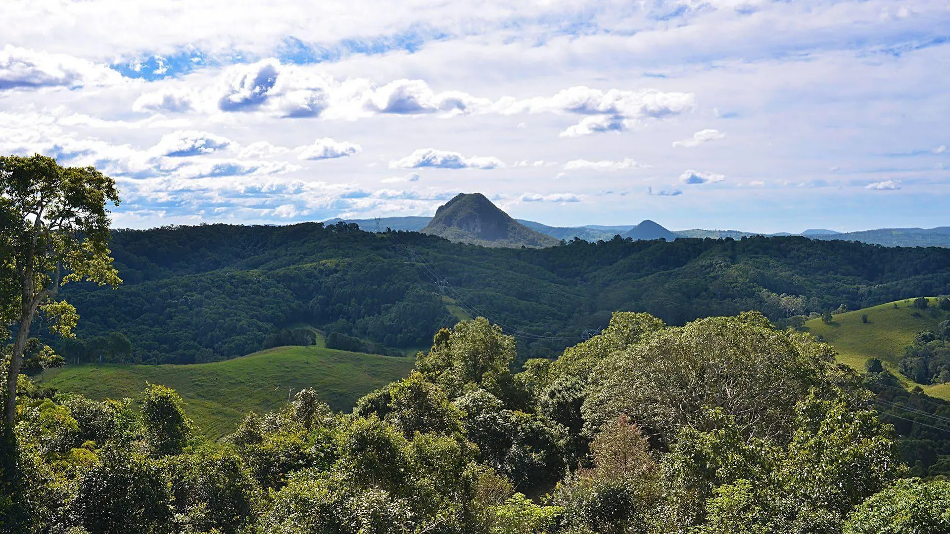 Cooroy Country Cottages Black Mountain