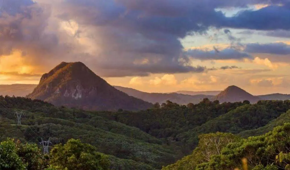 Cooroy Country Cottages Black Mountain